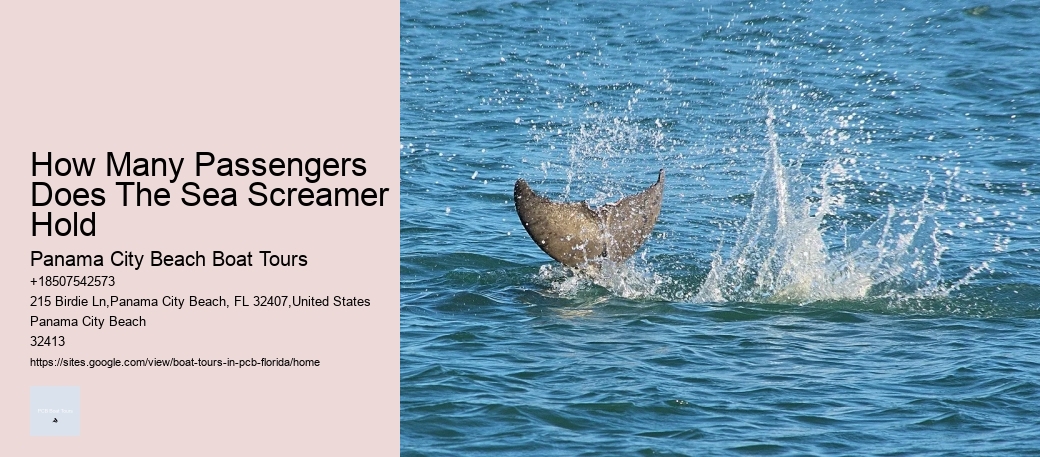 Pcb Island Discovery Tours