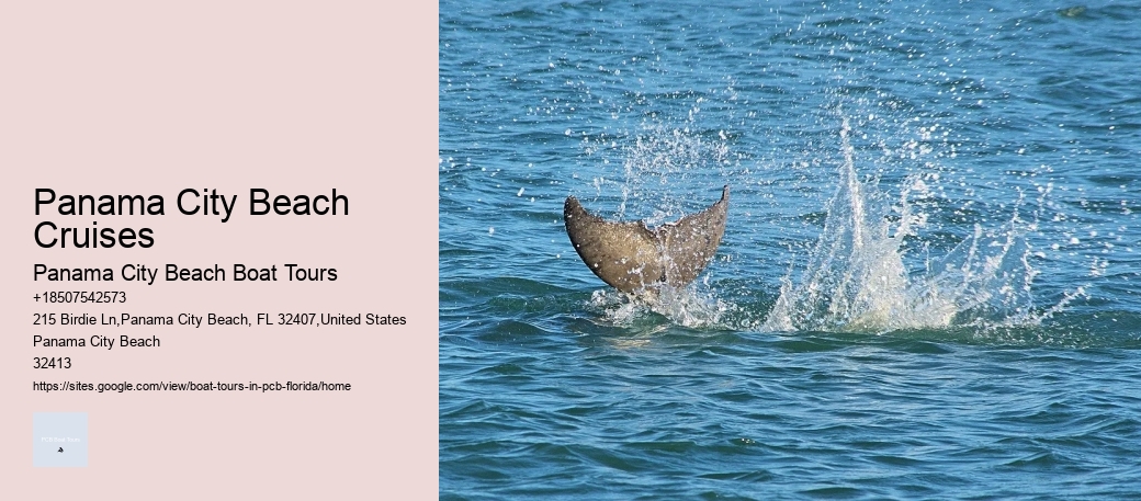 Swimming With Dolphin Tours Panama City Beach